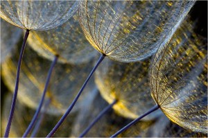 percorso di crescita